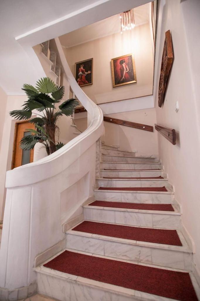 Vila Zeno Brașov Exterior foto