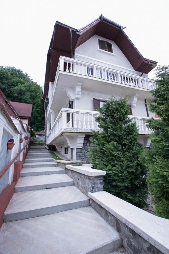 Vila Zeno Brașov Exterior foto